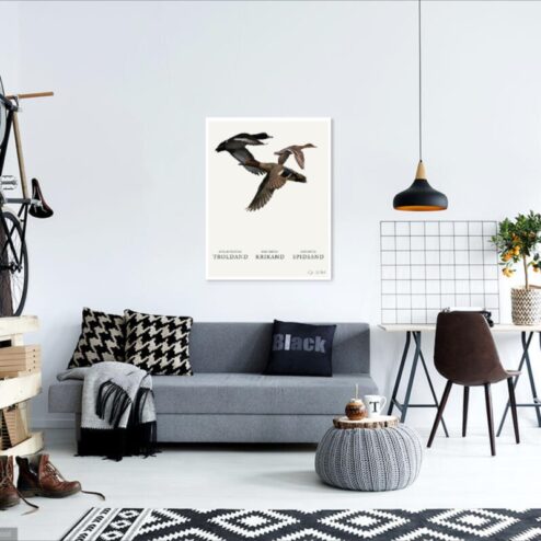 Vildtplakat af aender