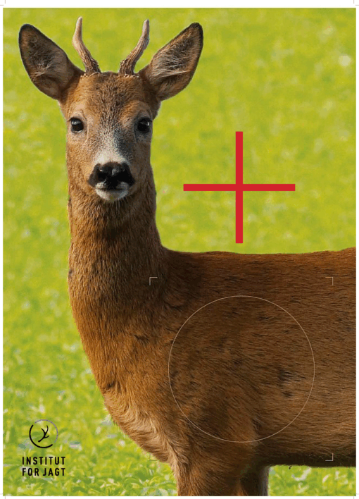 Bukke skydeskive med indskydningskryds