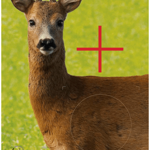 Bukke skydeskive med indskydningskryds